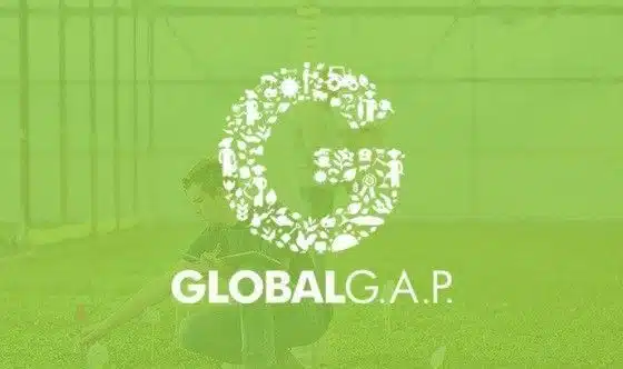 Global goals