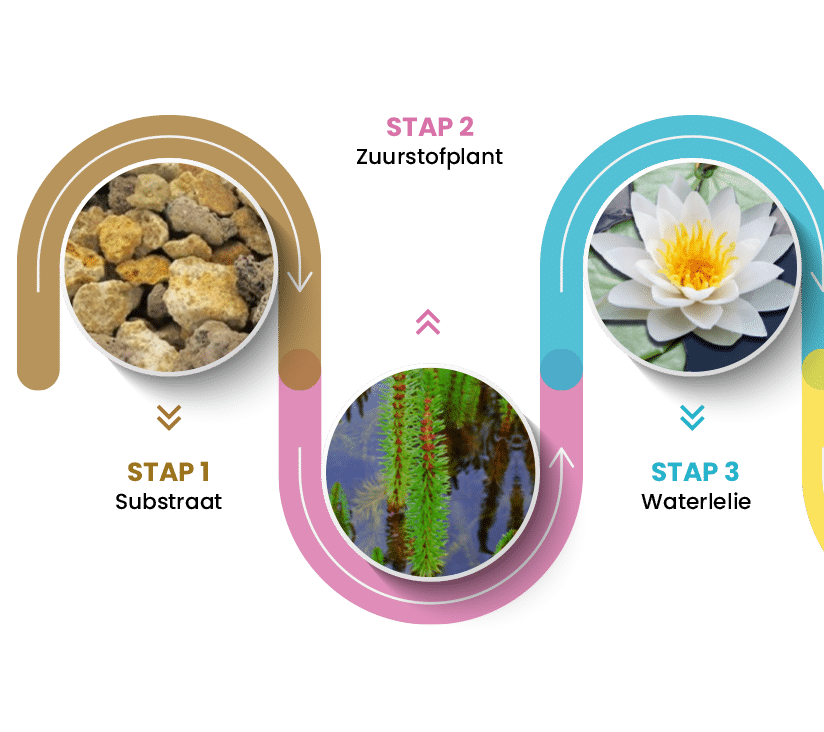 pond construction step-by-step plan