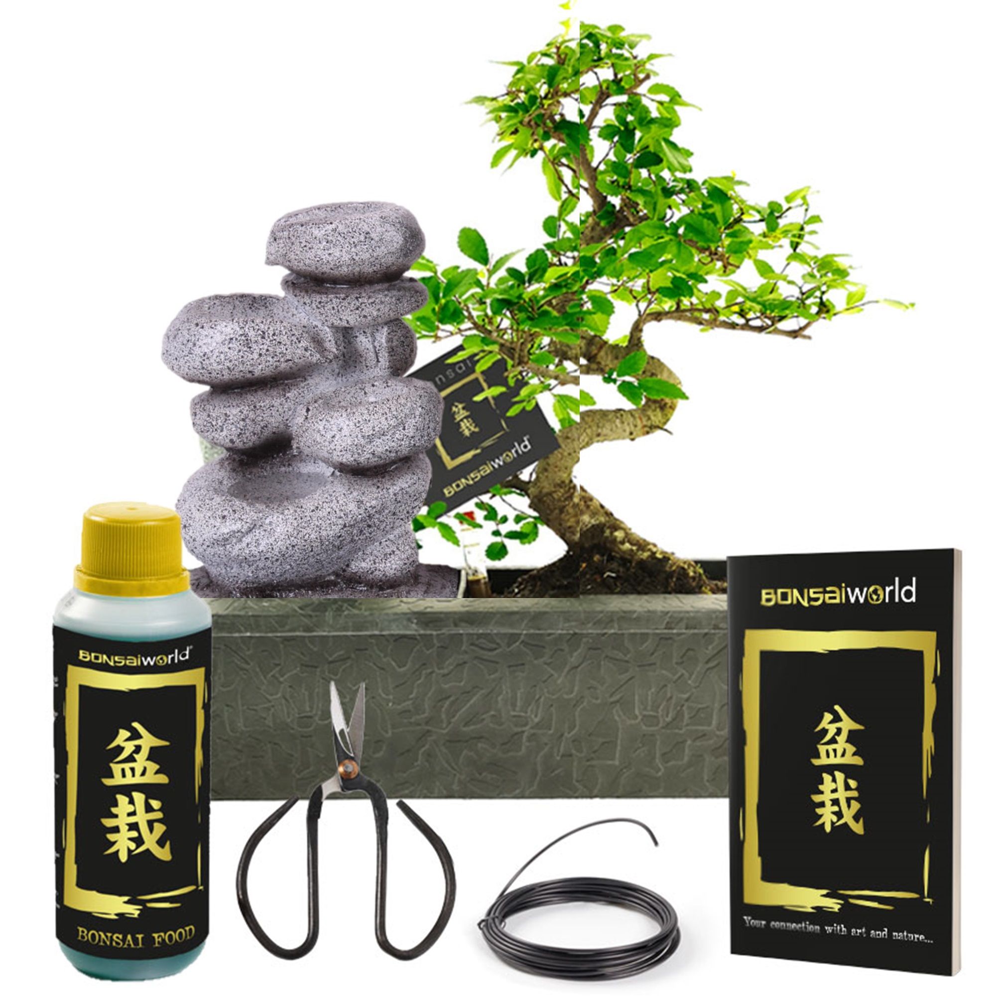 Bonsai Waterval Set – Zen + Verzorgingset