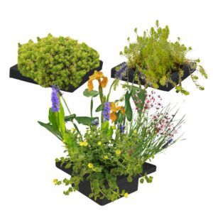 vdvelde.com - Schwimmpflanzeninsel-Set - DIY - 12 blühende und sauerstoffspendende Wasserpflanzen - Inklusive 3x Schwimmring