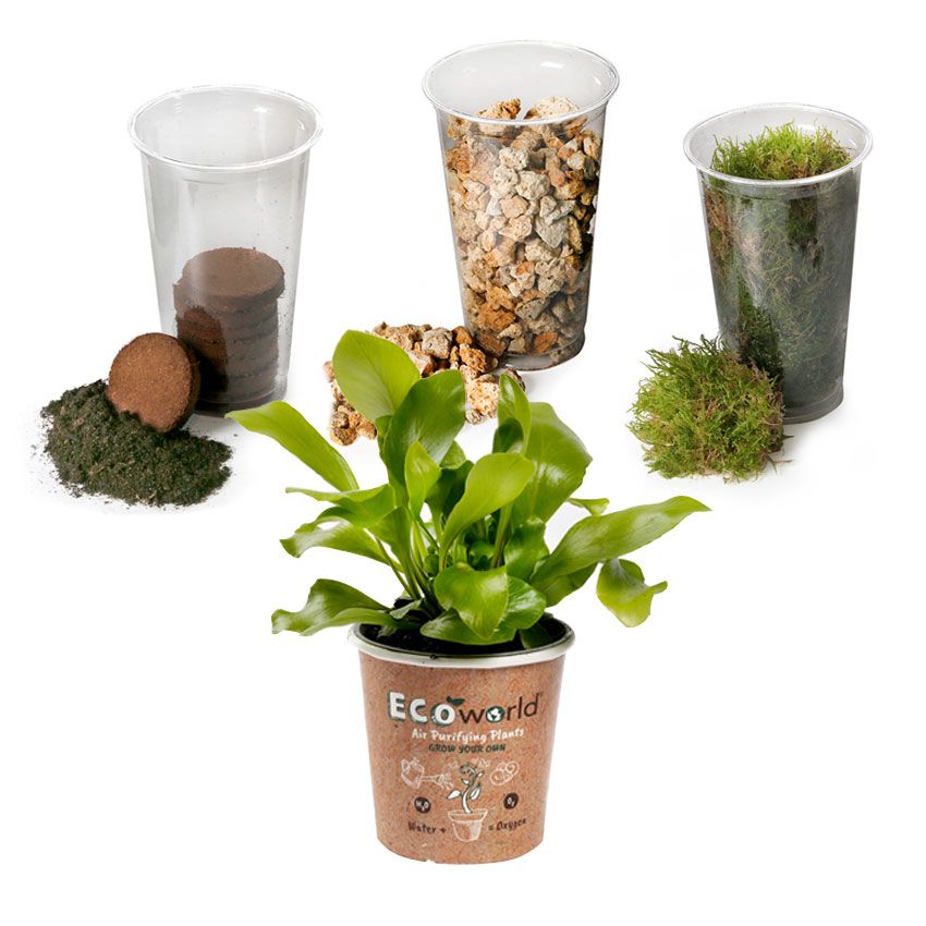 Ecosysteem-plant-met-lamp-Jungle-Corky-Glas-5