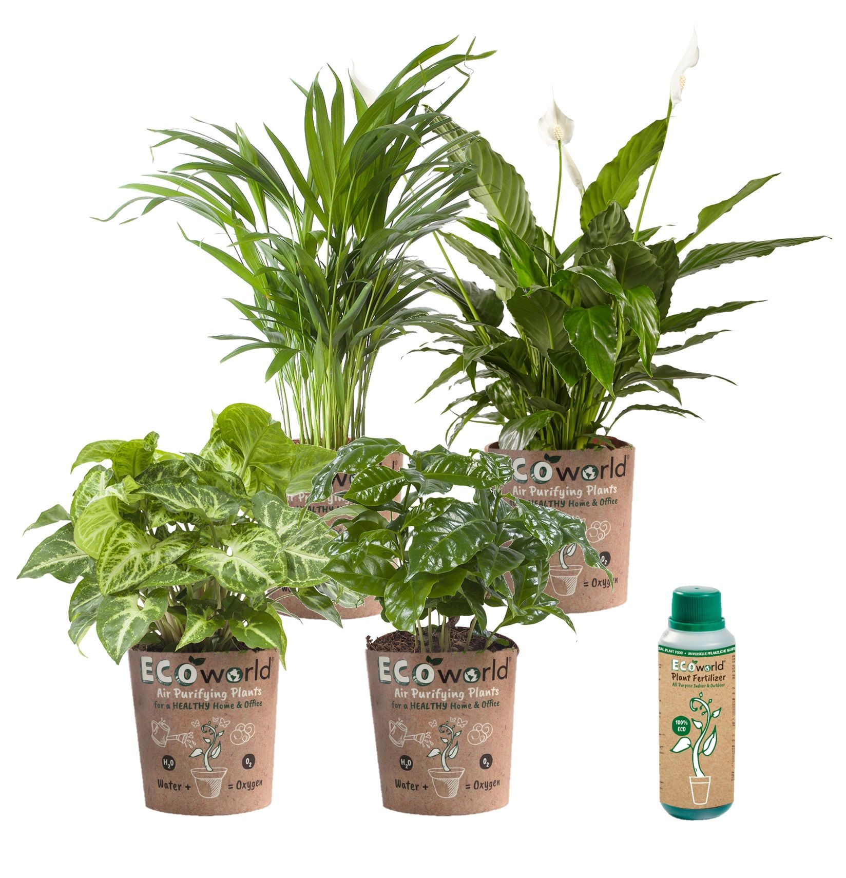 Kamerplanten Set Pot Eco – 4 stuks
