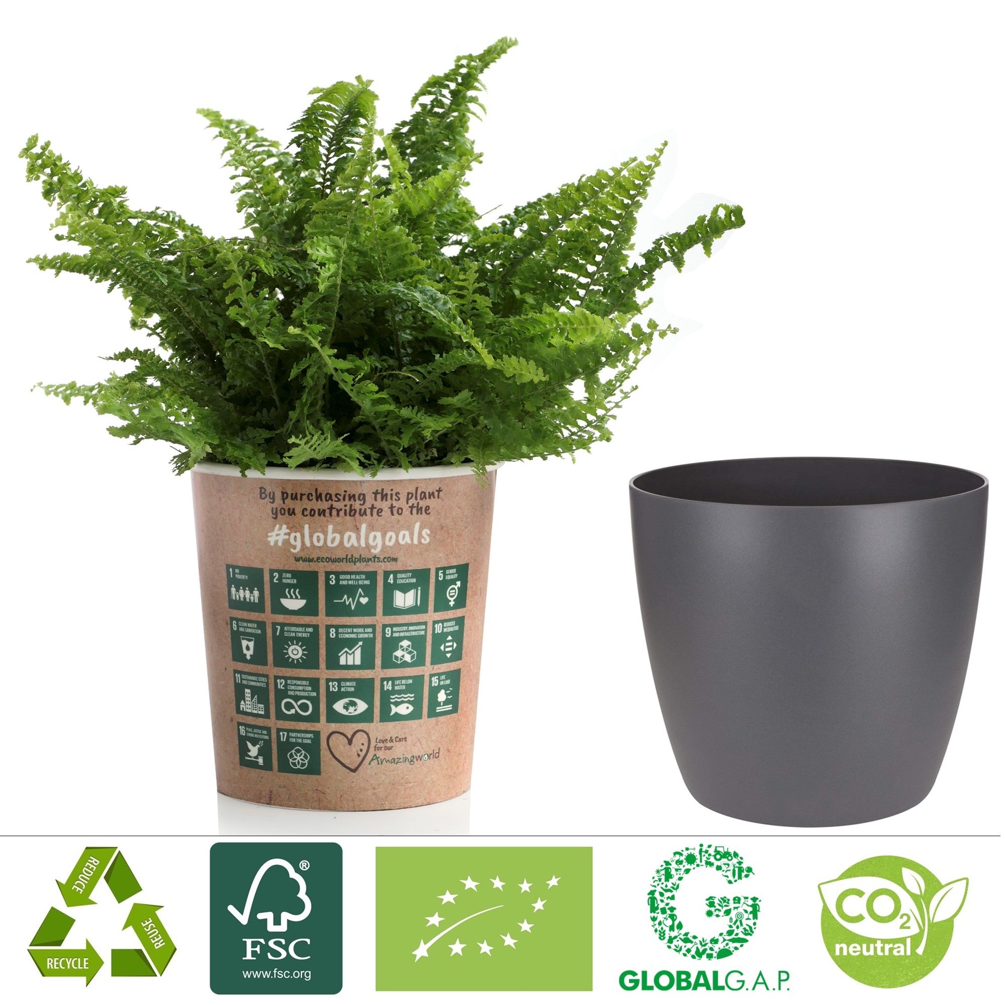 Plantes en pot-Ecoworld-Set-Anthracite-4-pièces-4