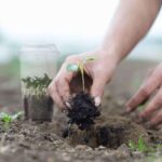 Moestuin-zaden-Veggieworld-Groentekweekset-12-stuks-3