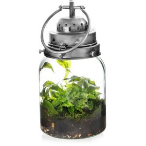 vdvelde.com - Terrarium pour plantes avec éclairage - Lanterne Jungle - Plantes incluses - Ø 16 cm - Hauteur 30 cm - Argenté