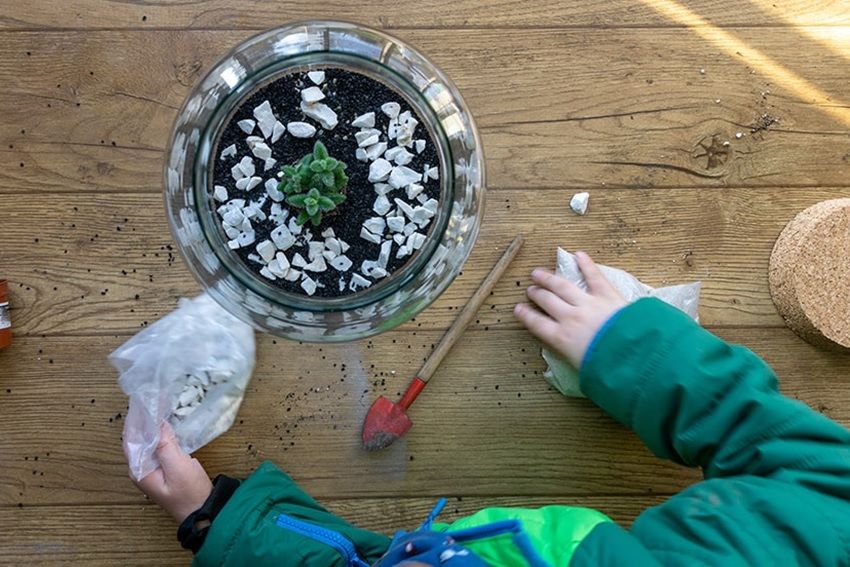 Planten terrarium met plantjes in glazen pot maken kinderen