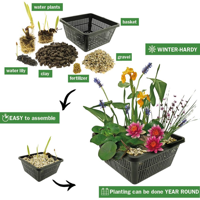 Starter-Vijverplanten-Pakket-93-planten-substraat-en-bacterien-Voor-een-vijver-van-4000-5000-liter-water-4