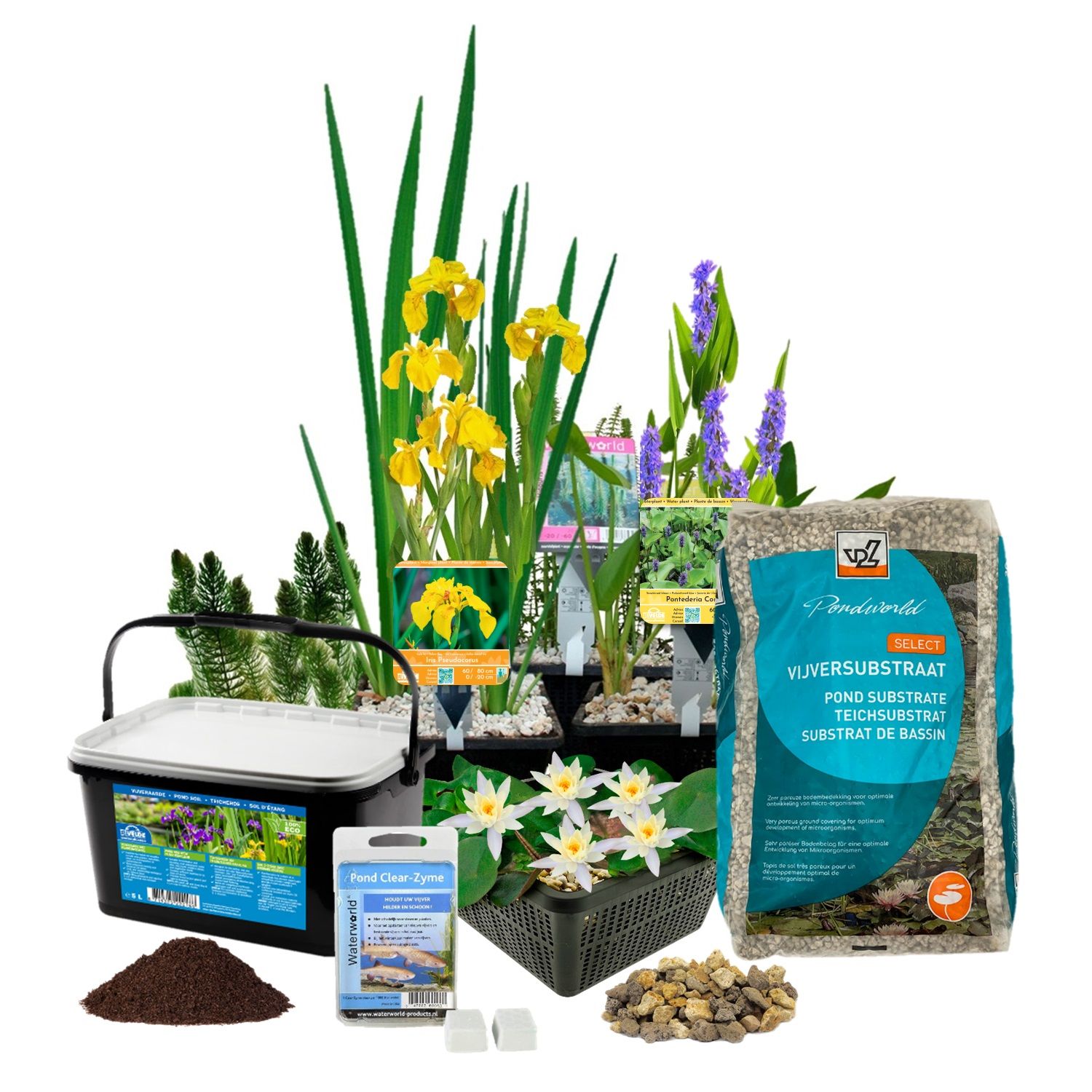 vdvelde.com -  Vijverplanten Pakket Wit Winterhart - 19 Waterplanten - Voor kleine vijver ca. 500 - 1000 Liter Water - Inclusief Vijvermanden