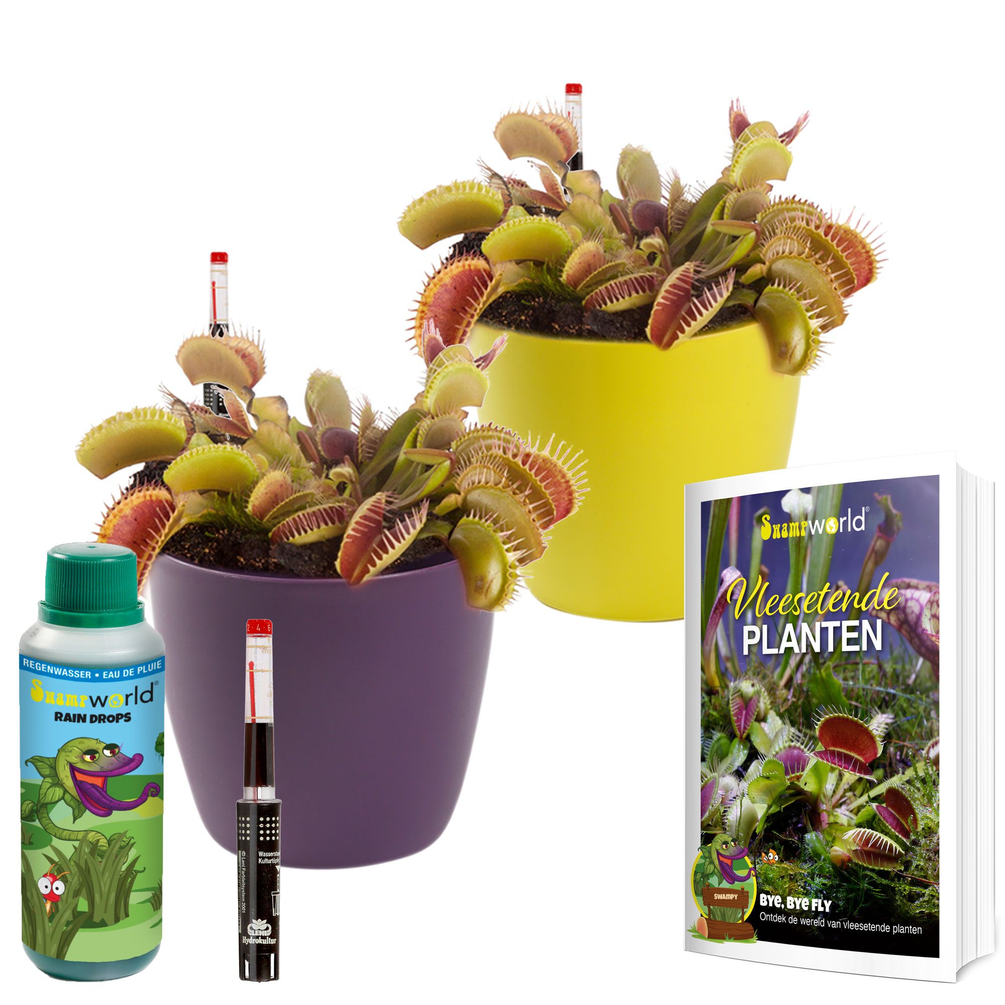vdvelde.com - Plante carnivore - Piège à mouches de Vénus 2 pièces - Compteur d'eau inclus