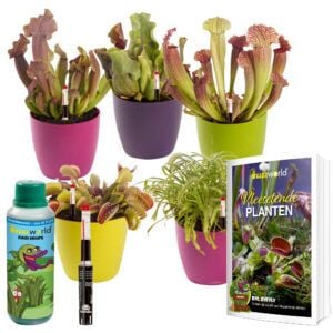 vdvelde.com -  Vleesetende planten Mix - 5 stuks - 1 Venus vliegenval - 1 Zonnedauw - 3 Bekerplanten - Ø 9 cm - Hoogte 10-20 cm + Handige Watermeters en Regenwater
