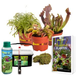 vdvelde.com - Plantes Carnivores DIY Terrarium Set 3 - 1 Venus Flytrap - 1 Sundew - 1 Cup Plant - Ø 9 cm - Hauteur 10-20 cm - Carnivorous Plants Book