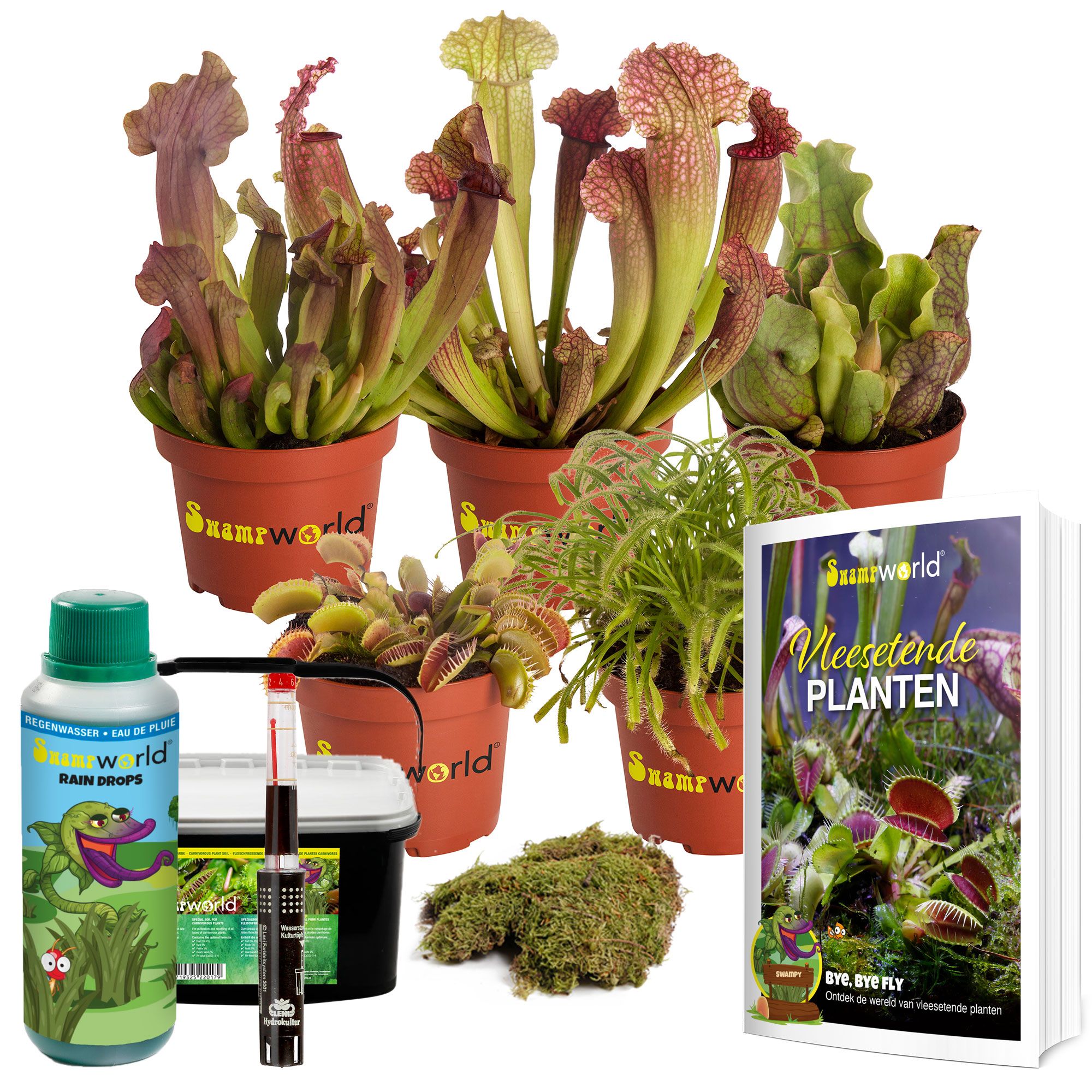 Terrarium Plantenset Groot – 5 vleesetende planten