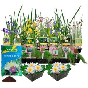 vdvelde.com - Wasserpflanzenpaket - für 5000 Liter Wasser - 93 winterharte Wasserpflanzen - Enthält Teichkörbe