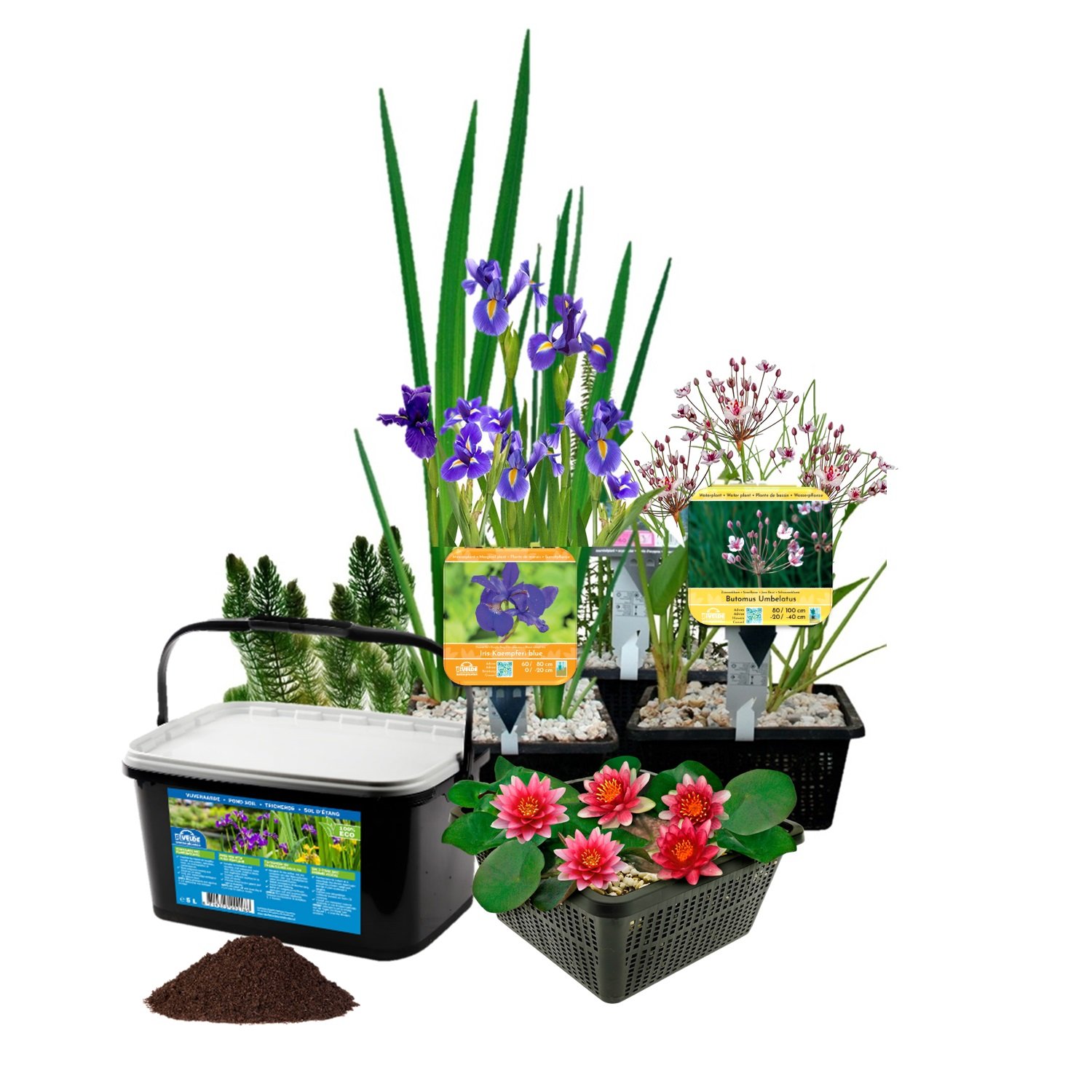 Waterplantenpakket – Klein – Rood