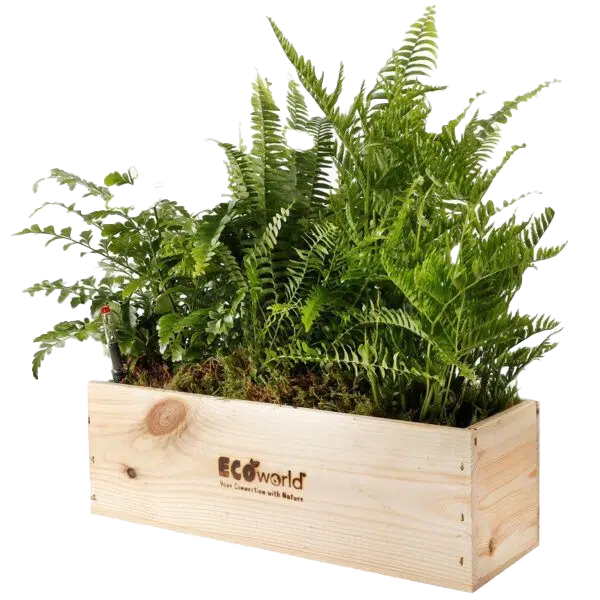 Boîte à plantes écologique