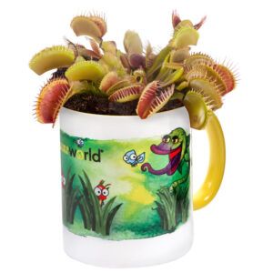 vdvelde.com mug avec plante carnivore - Venus Flytrap