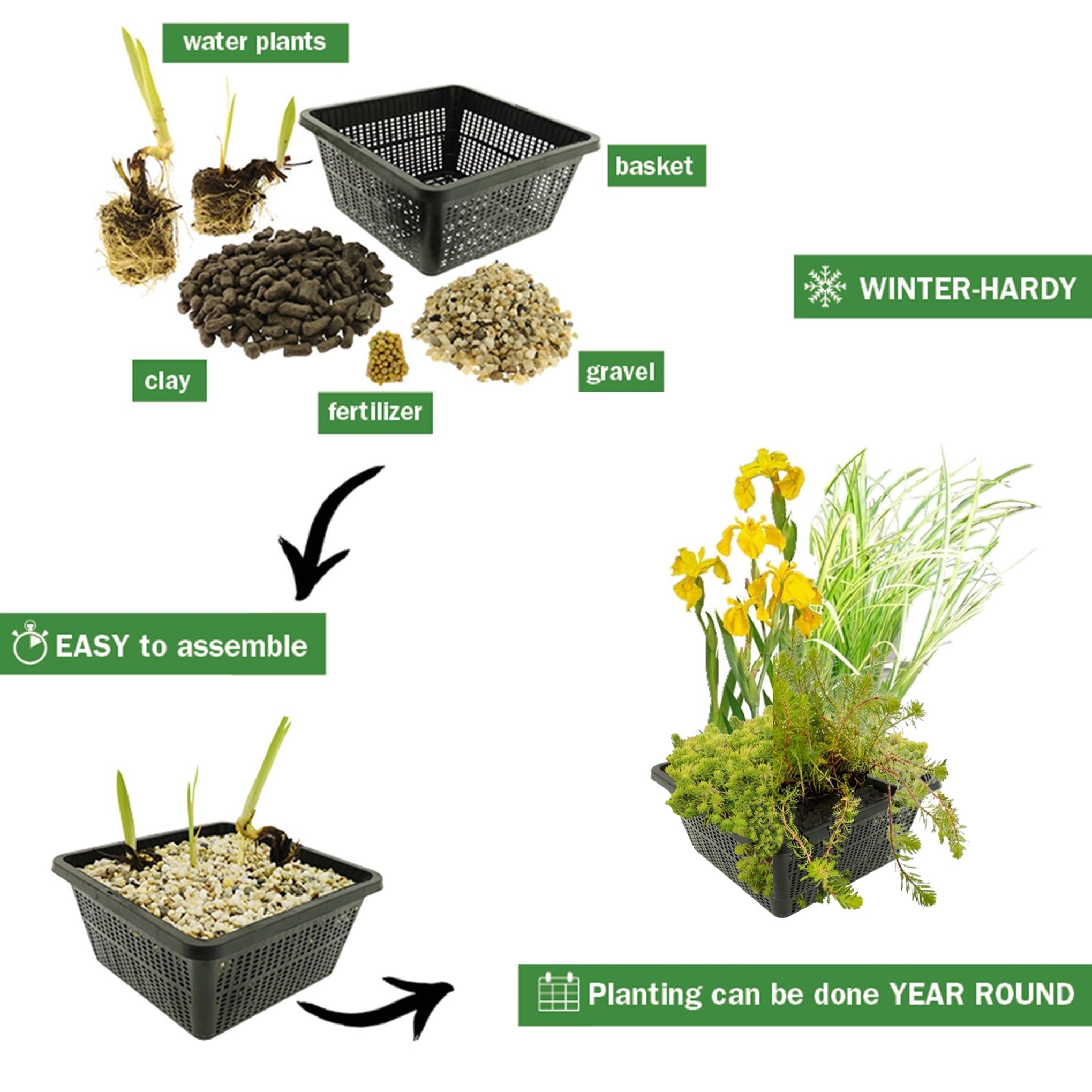 Filterplanten-set-4-waterplanten-4