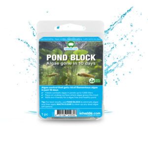 vdvelde.com - Pond Block Vijver Algenbestrijding - Weg met draadalgen - 1 blok per 1000 liter water - Van der Velde Waterplanten