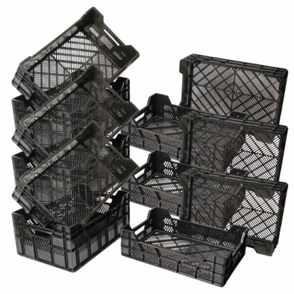Voordeelset 12 stuks