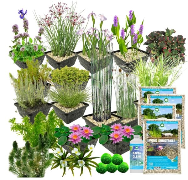 vdvelde.com - Teichpflanzenpaket - für 5000 Liter Wasser - 93 Winterharte Wasserpflanzen - Inklusive Substrat