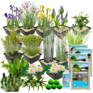 vdvelde.com - Vijverplanten Pakket - voor 5000 liter water - 93 Winterharde Waterplanten - Inclusief Substraat