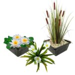 Inheemse Waterplanten
