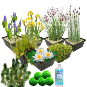 vdvelde.com - Wasserpflanzenpaket - für ca. 1000 Liter Wasser - 36 Winterharte Wasserpflanzen - Enthält Teichkörbe