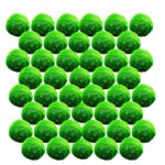 Marimo roślin