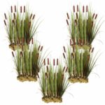 Plantas Typha 100