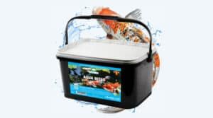 Nourriture pour poissons