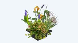 islas de plantas