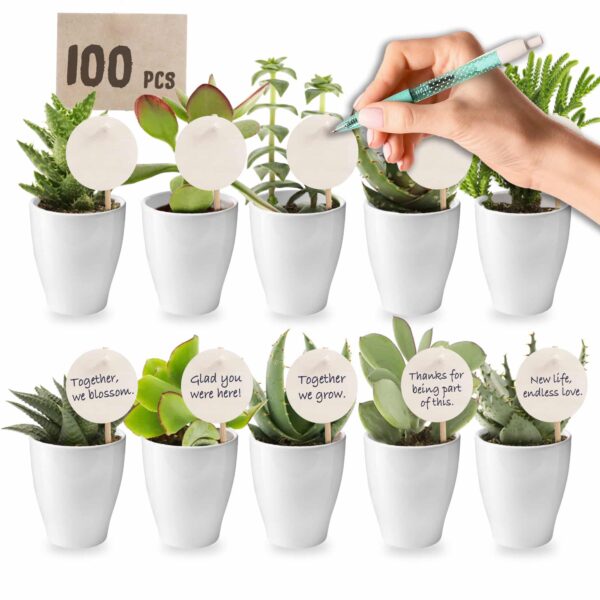 Giveaway Mini Vetplanten 100 Giveaway Mini Vetplanten 100