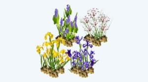 Plantes de marais »