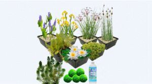 Paquetes de plantas