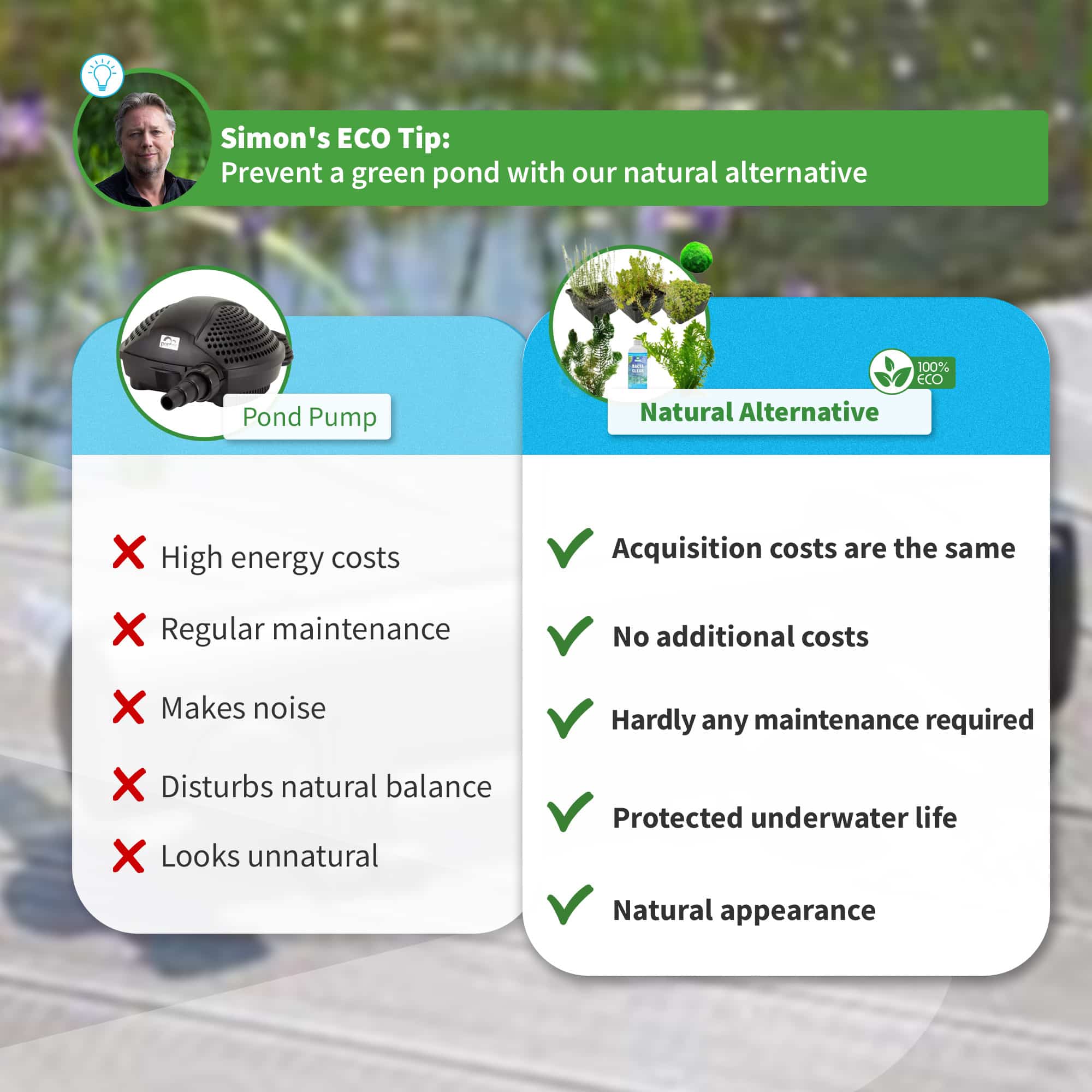 Vijverpomp-vs-natuurlijk alternatief-eng