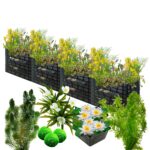 Biofilter 4 torens + Zuurstofplanten en Waterlelies Biofiltro de 4 torres + Plantas aeradoras e nenúfares