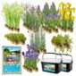 Pond tub 1000L