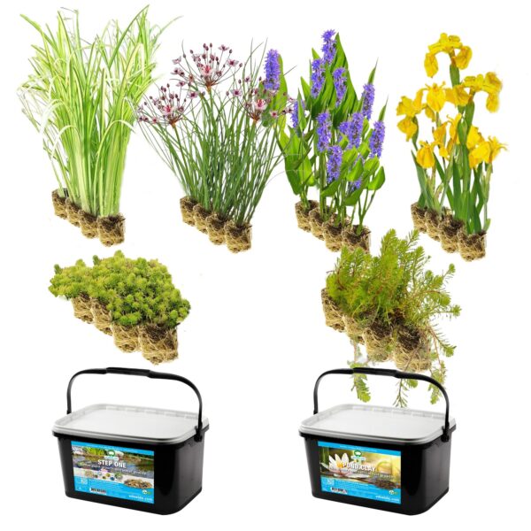 Vijverbak Randbeplanting 500L Cubeta de estanque , 500 l