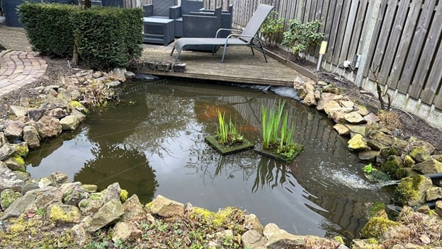 Te weinig planten in de vijver Not enough plants in the pond