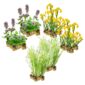 Piante elofite 4-7 m²
