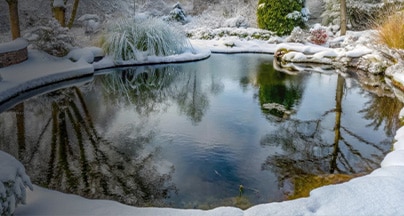 vijver-winterklaar-maken Preparare il laghetto per l'inverno in autunno