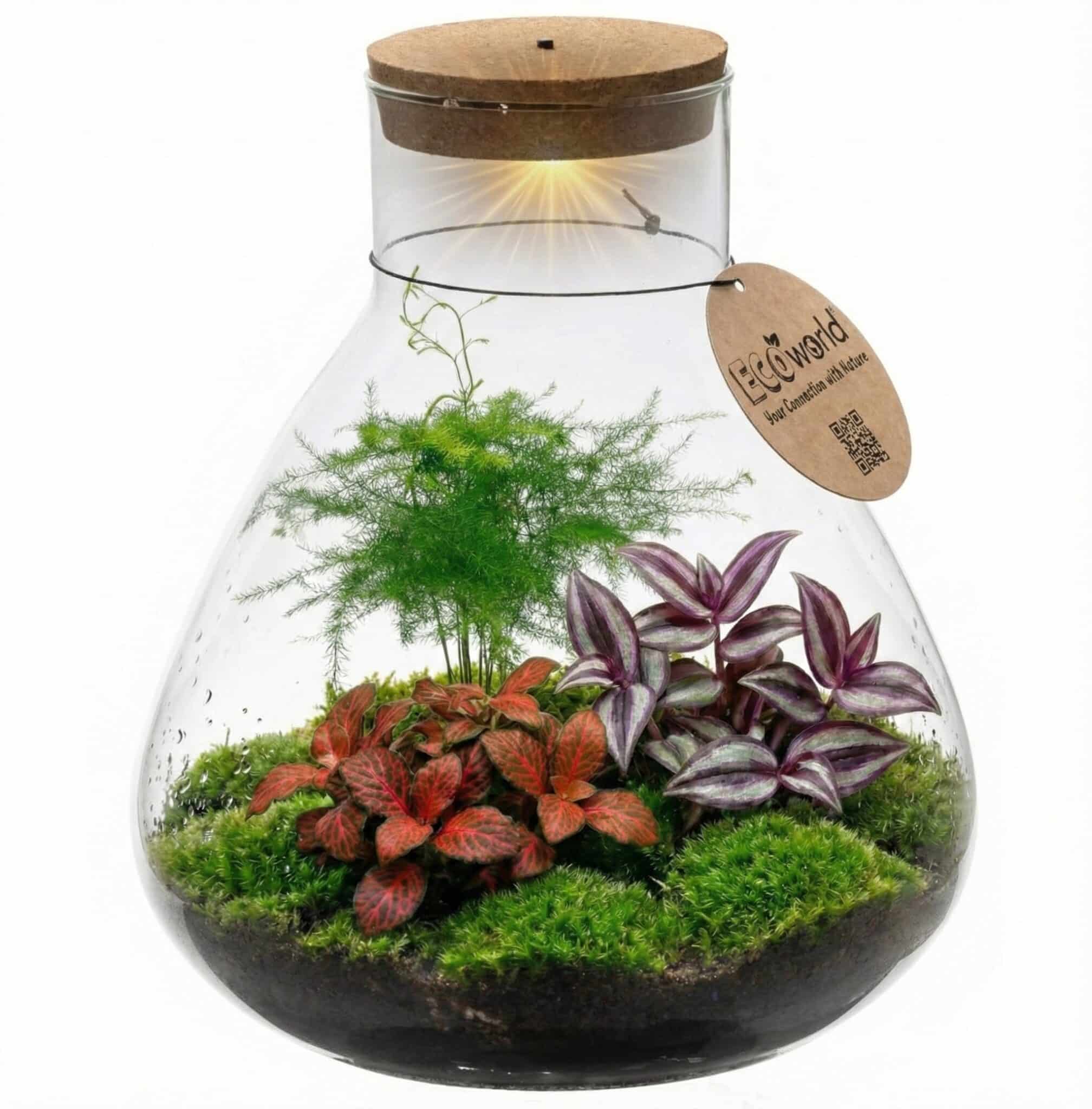 Bottle Garden - vdvelde.com