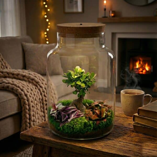 Bonsai im Glasgef  vdvelde.com