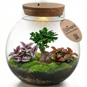Ecossistema do Bonsai