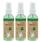 Tillandsia-Spray