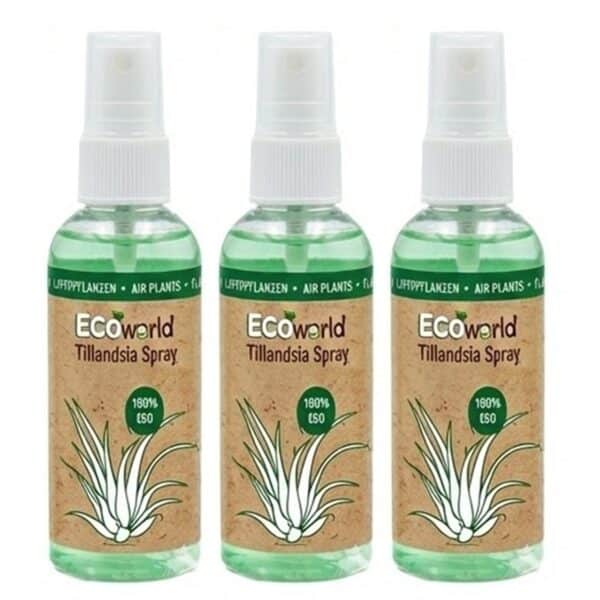 Tillandsia Spray Tillandsia-Spray