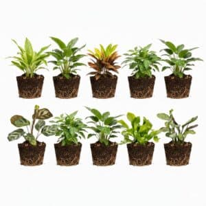 Mini-planter 10