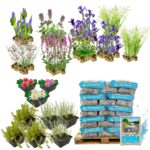 Paquete completo de filtro vegetal para 8-12 m²