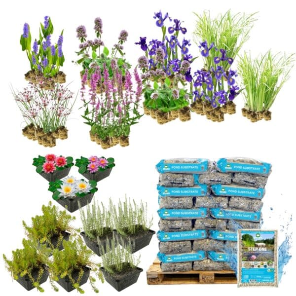 Paquete completo de filtro vegetal para 8-12 m²