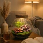 Rośliny-Terrarium-70056-1